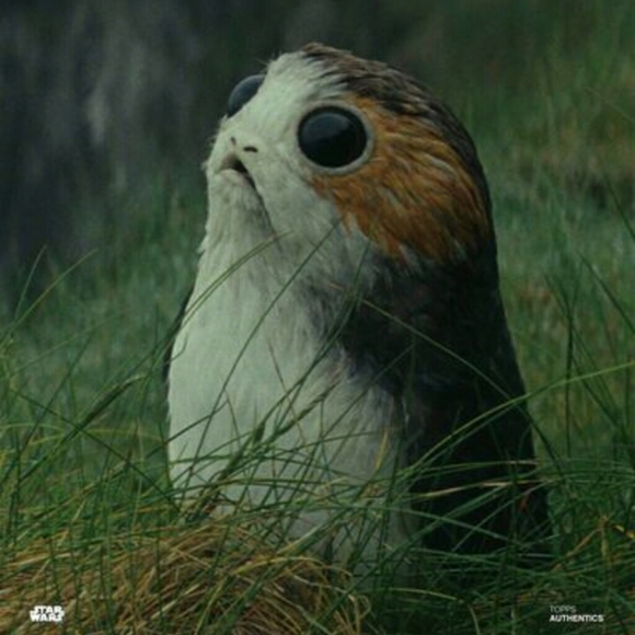 Meet your Posher, Bex - Picture 2 of 7